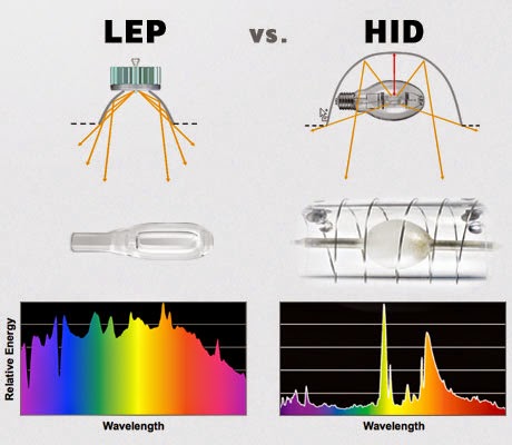 132c43be86-Wavelength.jpg