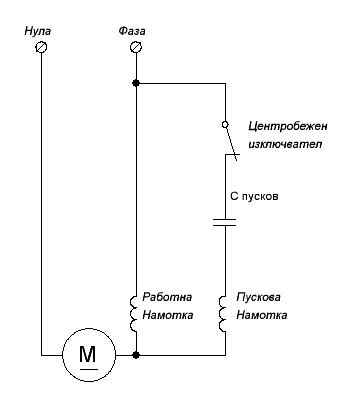 1f_mot_C.JPG