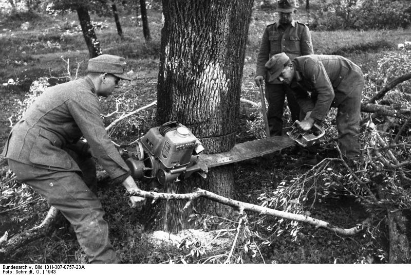 Bundesarchiv_Bild_101I-307-0757-23A%2C_Italien%2C_Baumf%C3%A4llen.jpg