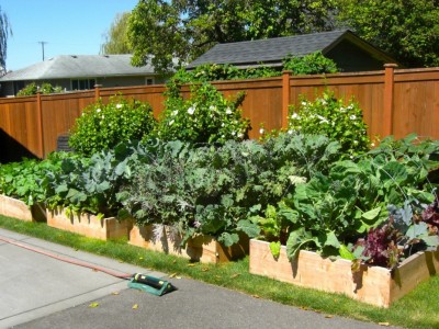 exterior-raised-bed-planting-breathtaking-raised-beds-for-sale-planting-a-vegetable-garden-perth-and-ideas-lowest-price-bed-kits-hobart-second-hand-be.jpg