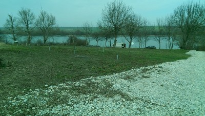 IMAG0661.jpg
