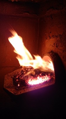 DSC_0133.JPG