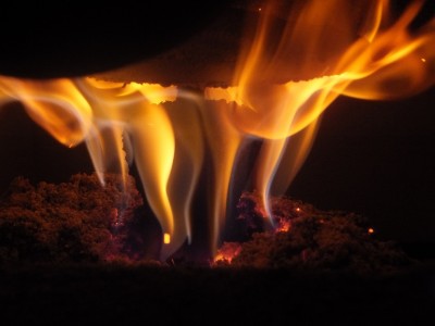 DSCF3119.JPG