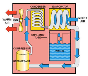 diagram.jpg