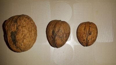 20151229_180957.jpg