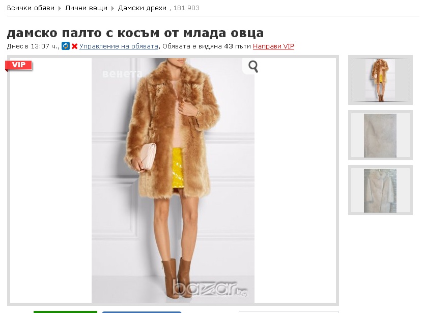 ovca.jpg
