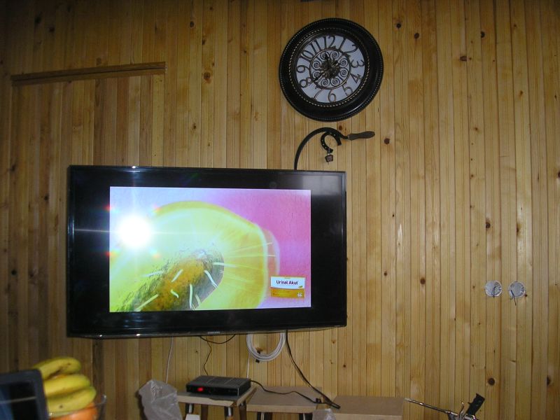 P1010024.jpg