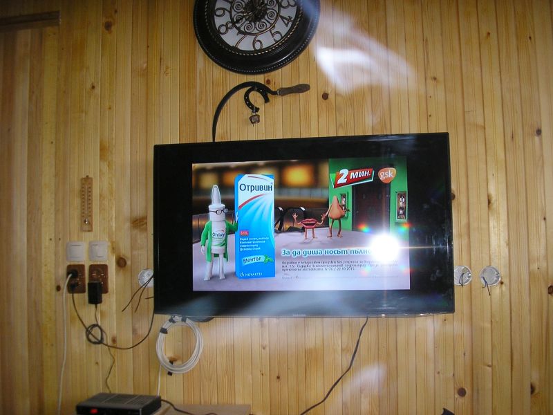 P1010026.jpg