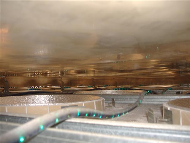 DSCF0915 (Small).JPG