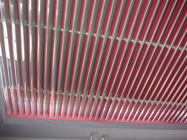 DSCF0949 (Small).JPG