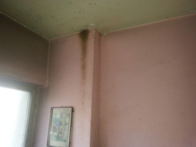 20160319_143420.jpg