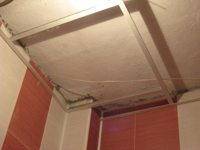 snimki 043.jpg