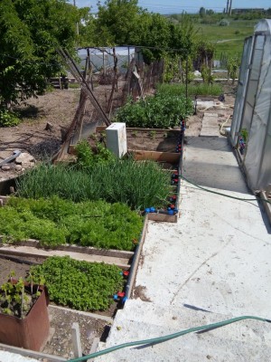 20160501_113305.jpg