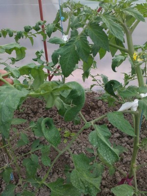 IMG_20160502_132104.jpg