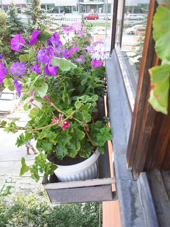 PIC_0008_small.JPG