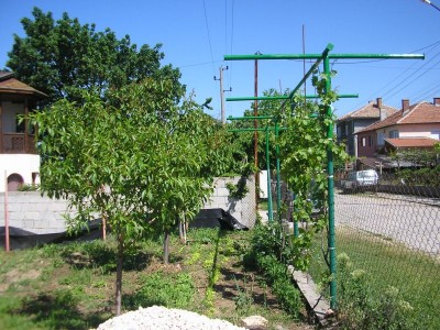 P5020003-1.jpg