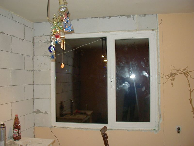 P1010064.jpg