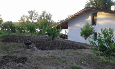 20160608_201955.jpg