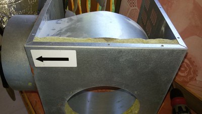 IMG_20160616_161016.jpg
