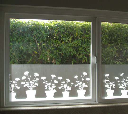 windowfilm.gif