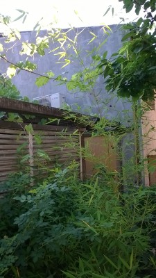 WP_20160701_08_12_14_Pro.jpg