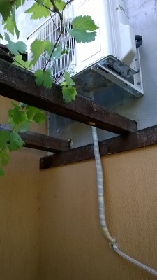 WP_20160701_08_11_55_Pro.jpg