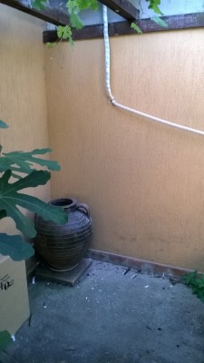 WP_20160701_08_11_46_Pro.jpg