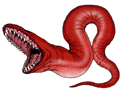 Worm.jpg