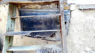 IMG_20160715_111002.jpg