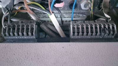 14087502_10205194942033003_475616125_o.jpg