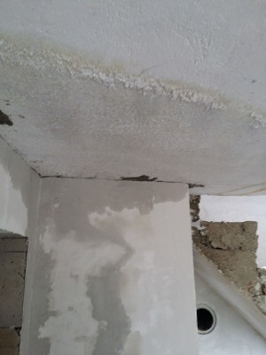 20160926_154822.jpg