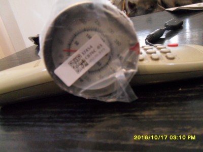 SAM_8910.JPG