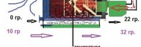DAUC3.png