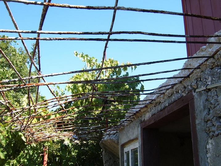 S3700162.JPG