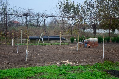 DSC_1910_1.jpg