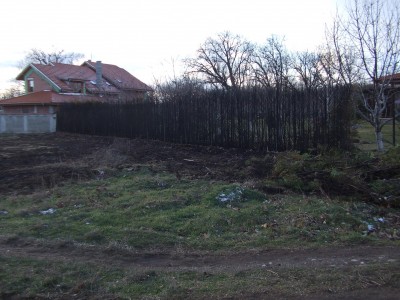 DSCF5530-1.jpg