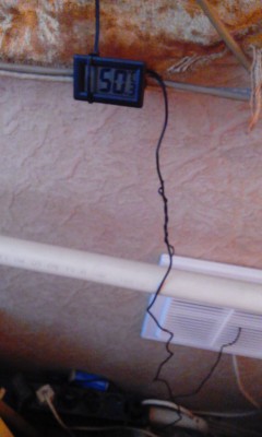 IMG_20161119_121405.jpg
