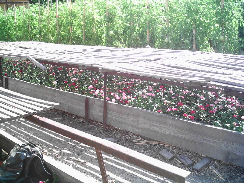 PICT000777.jpg