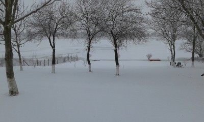 20170106_144924.jpg