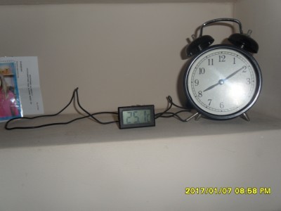 SAM_9073.JPG
