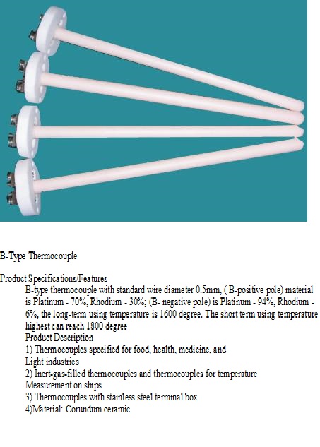 B type Thermocuple1.jpg