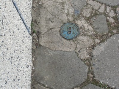CIMG8933.JPG