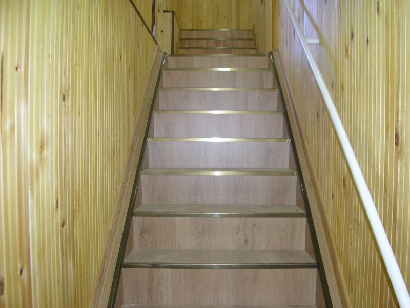 P1010282-1.jpg