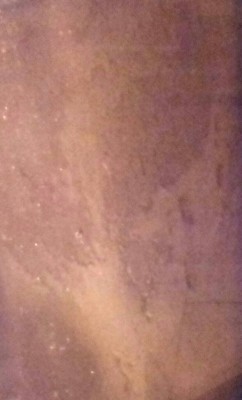 20170423_211902-1-1-1.jpg