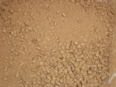 DSC03967_opt.jpg