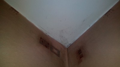 IMG_20170509_033048.jpg
