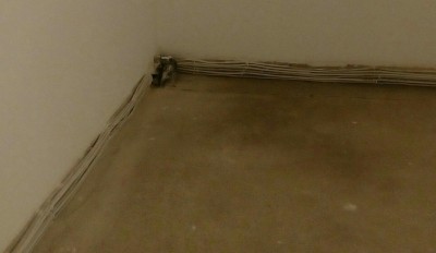 _20170817_085500.JPG