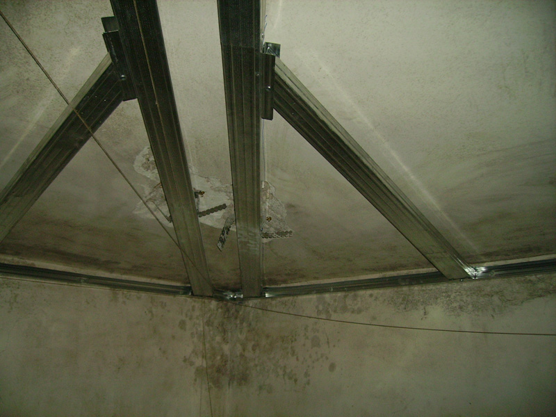 IMGP0987.jpg
