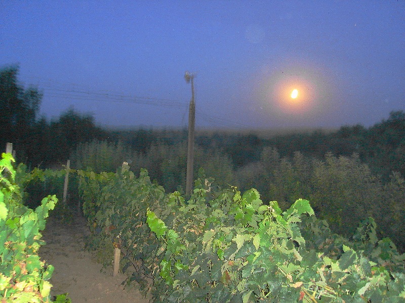 DSC05572.JPG