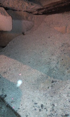 IMG_20171029_213127.jpg